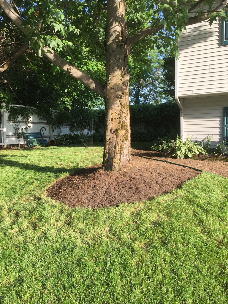 Let's Landscape the Front Yard! Zone 2 | My Perpetual Project