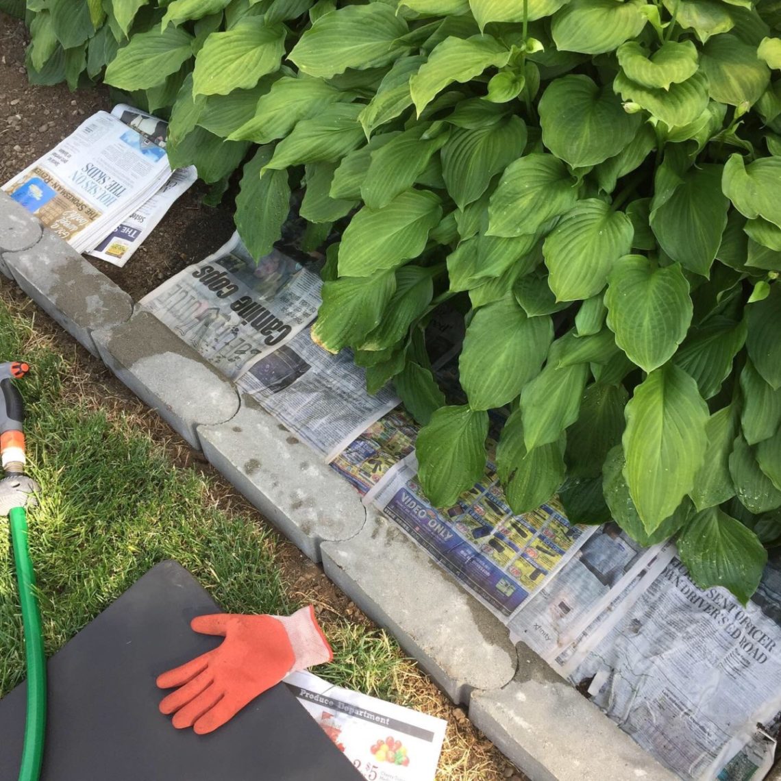 landscape, weed abatement, enlarge flower beds