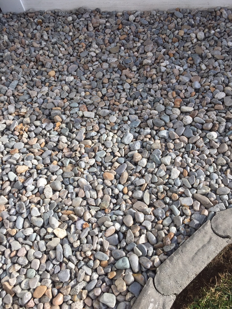 Let's Create a Rock Garden! | My Perpetual Project