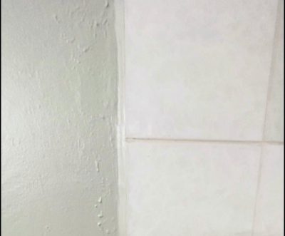 Let’s Paint the Shower Tile! | My Perpetual Project